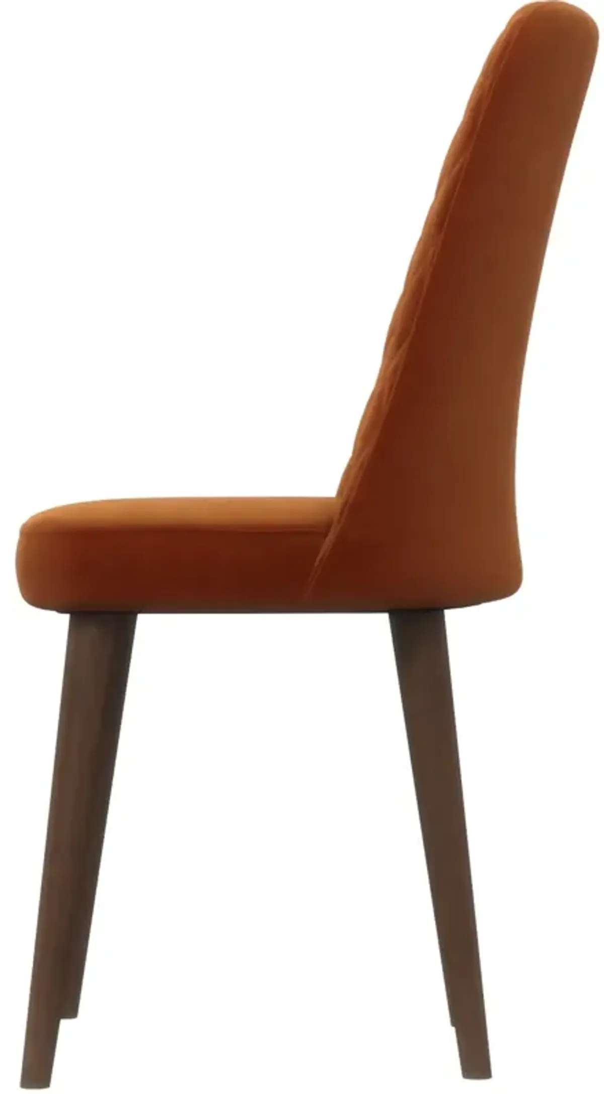 Evette Mid Century Modern Burnt Orange Dining Chair Set of 2