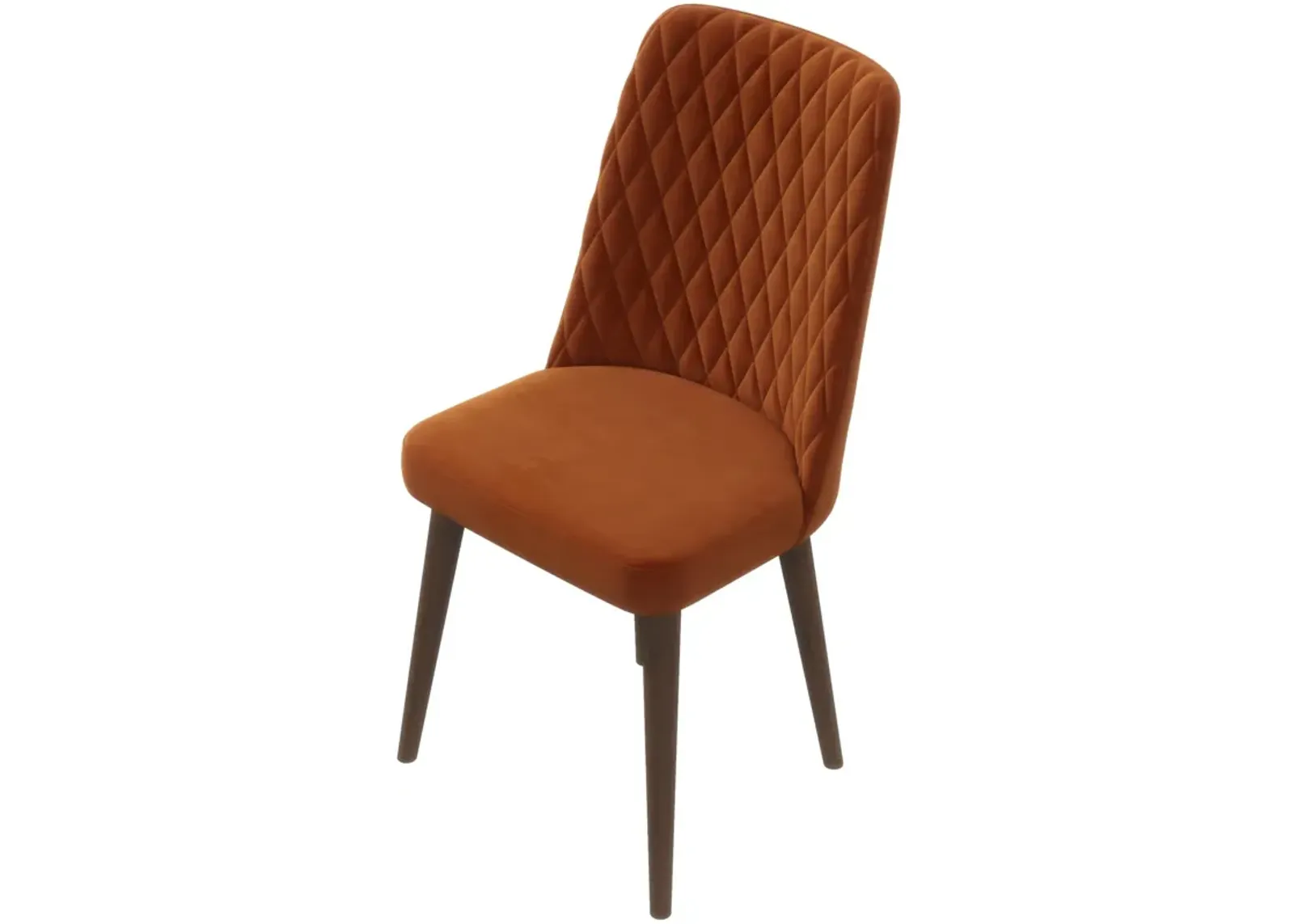 Evette Mid Century Modern Burnt Orange Dining Chair Set of 2