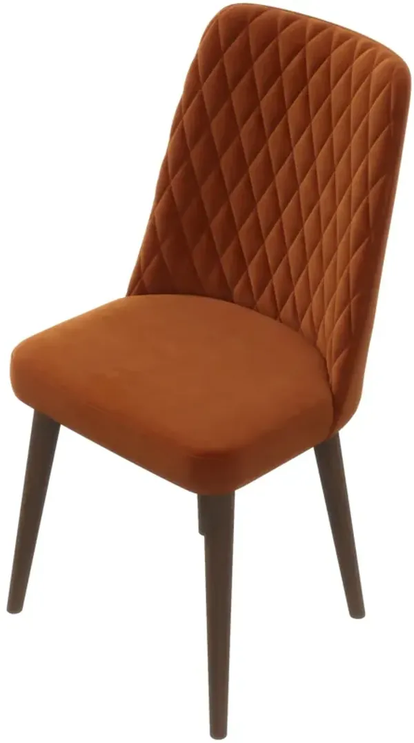 Evette Mid Century Modern Burnt Orange Dining Chair - Set of 2