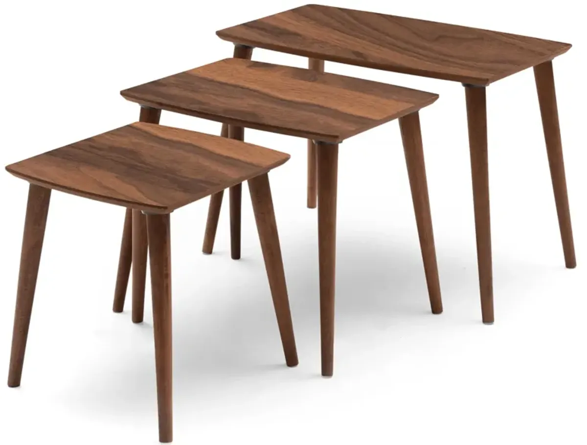 Ruya Walnut Nesting Table (3 Pcs)