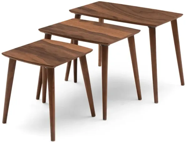 Ruya Walnut Nesting Table (3 Pcs)