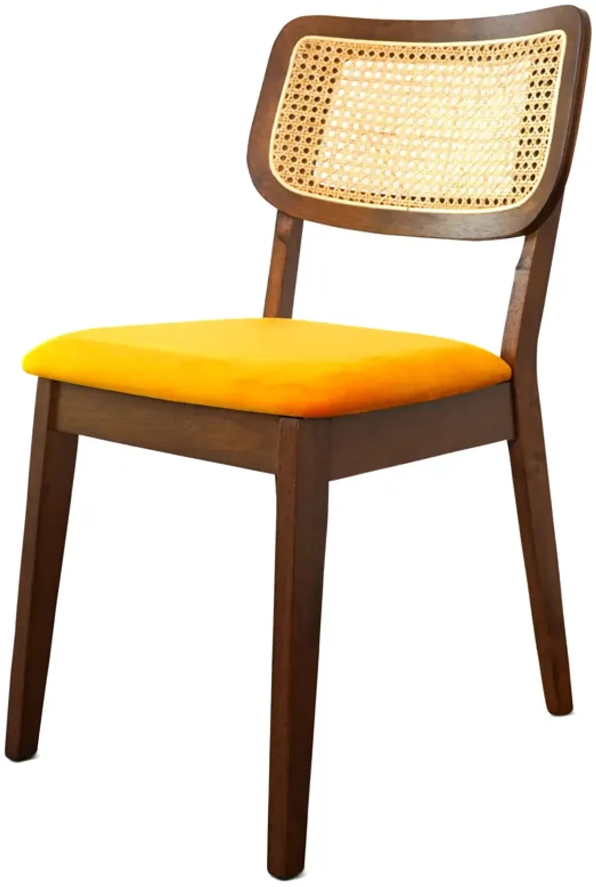 Kane Orange Velvet Dining Chair Set of 2