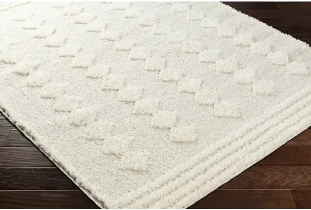 Rodos RDO-2319 7'10" x 10' Machine Woven Rug