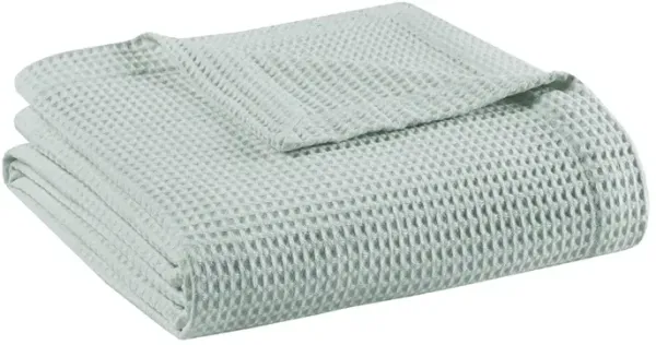 Beautyrest Cotton Waffle Weave Aqua Cotton Blanket