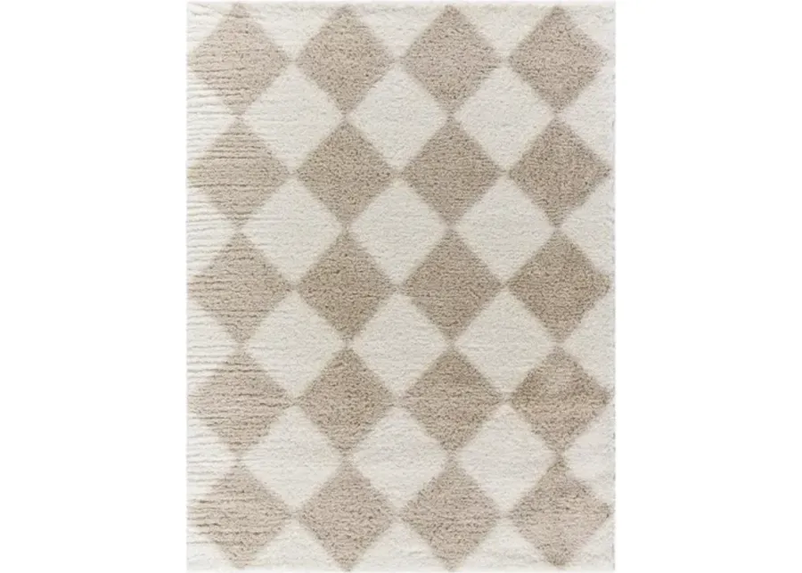 Cloudy Shag CDG-2338 5'3" x 7' Machine Woven Rug