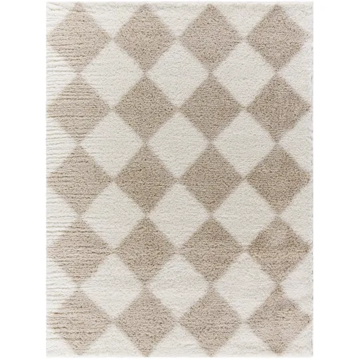 Cloudy Shag CDG-2338 5'3" x 7' Machine Woven Rug