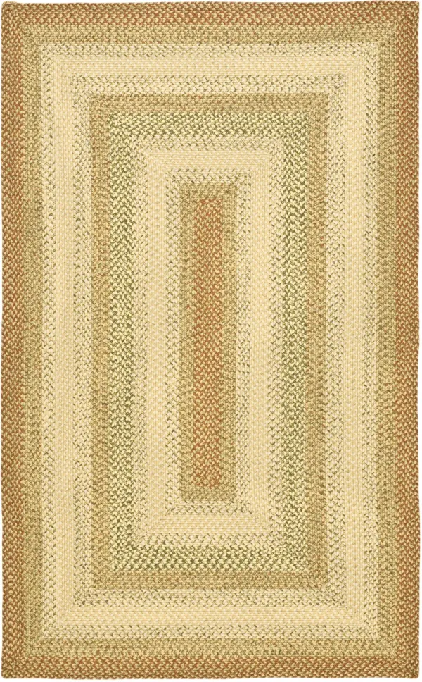 BRAIDED Hand Woven 2' x 4' area rug
