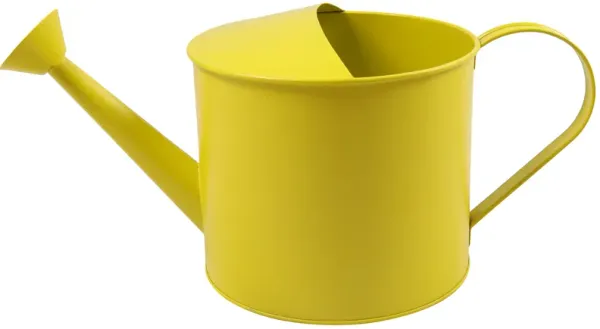 7x15" Watering Can, Yellow