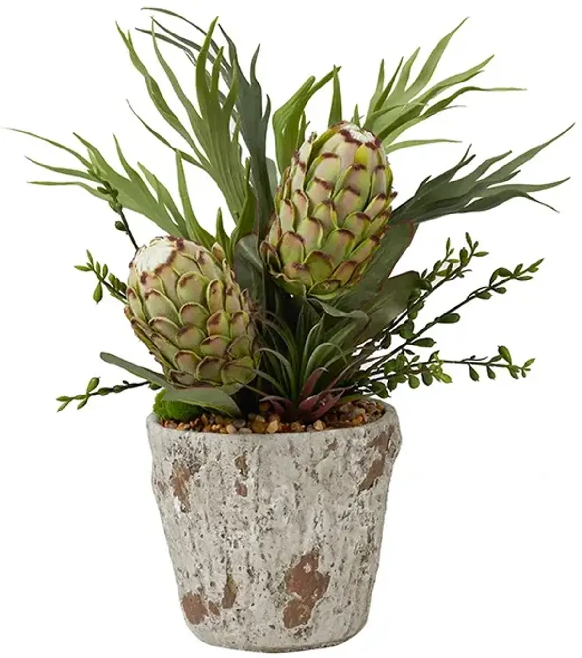 GREEN PROTEAS WITH SUCCULENTS AND STAGHORN FERN IN WEATHERED CERAMIC PLANTER