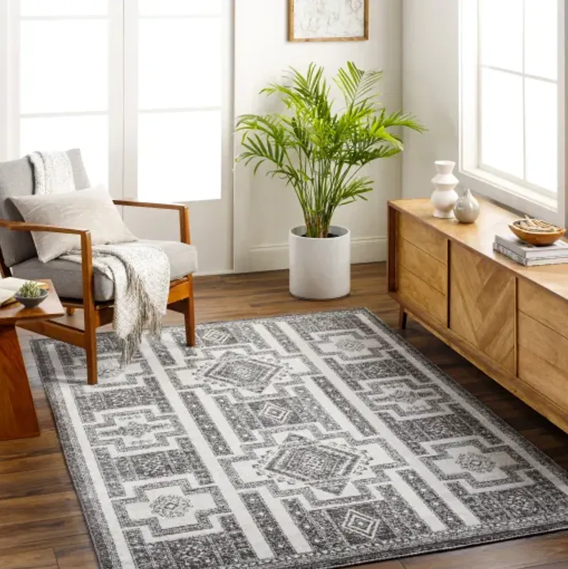 Positano PSN-2317 7'10" x 10' Machine Woven Rug