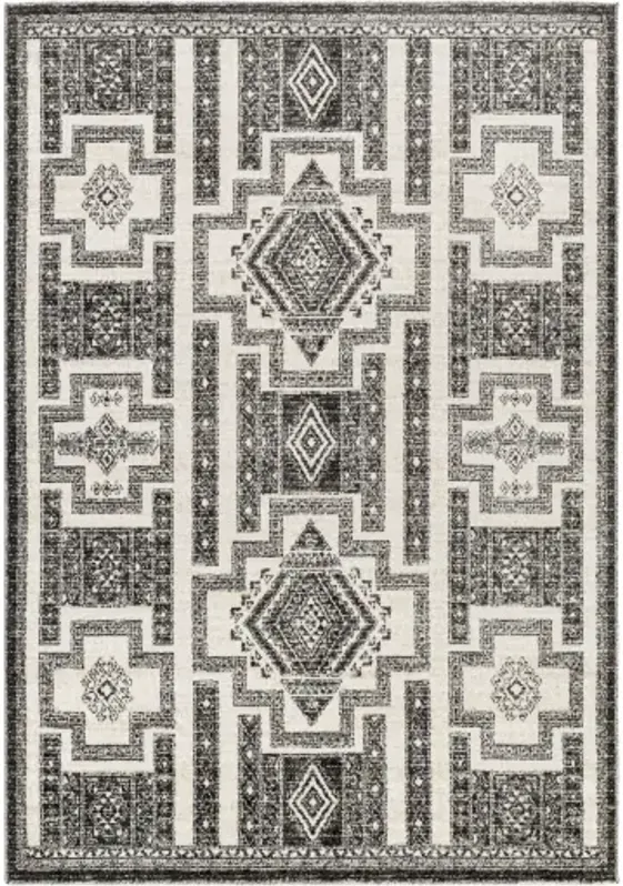 Positano PSN-2317 7'10" x 10' Machine Woven Rug