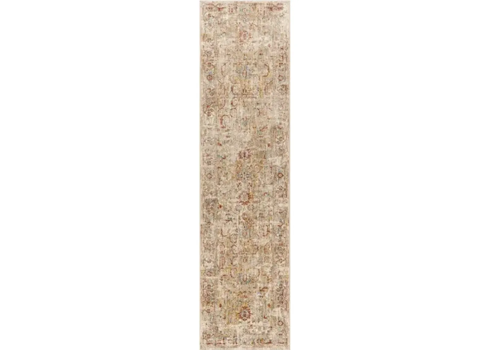 Aspendos 2'7" x 4' Rug