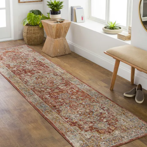 Aspendos APS-2322 2'7" x 7'3" Rug