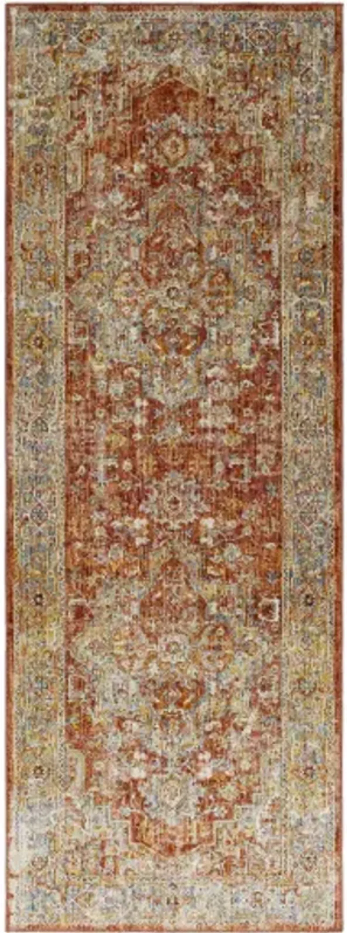 Aspendos APS-2322 2'7" x 7'3" Rug