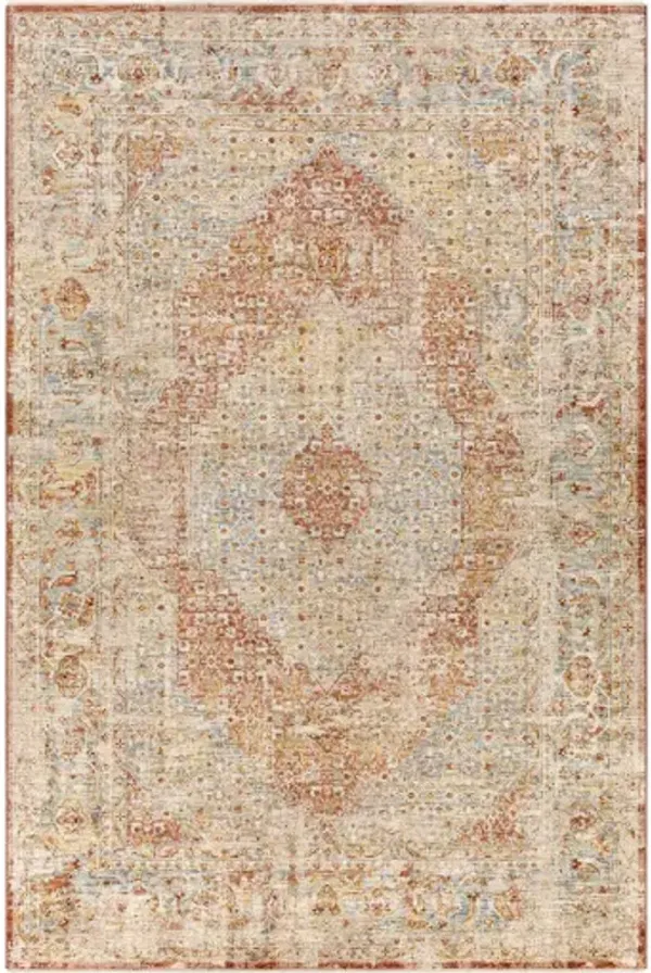 Aspendos 2'7" x 4' Rug