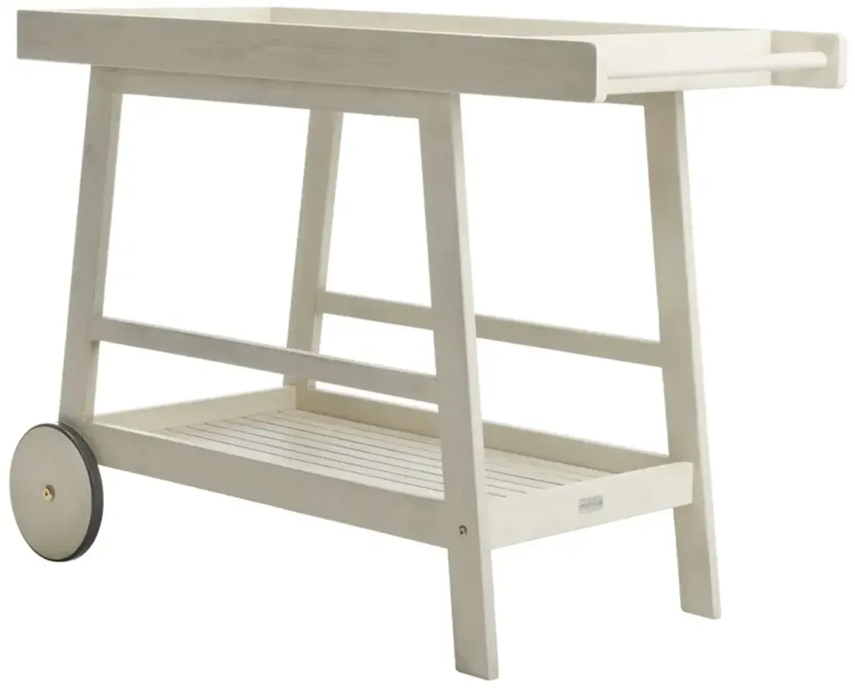 Renzo Indoor/Outdoor Bar Cart