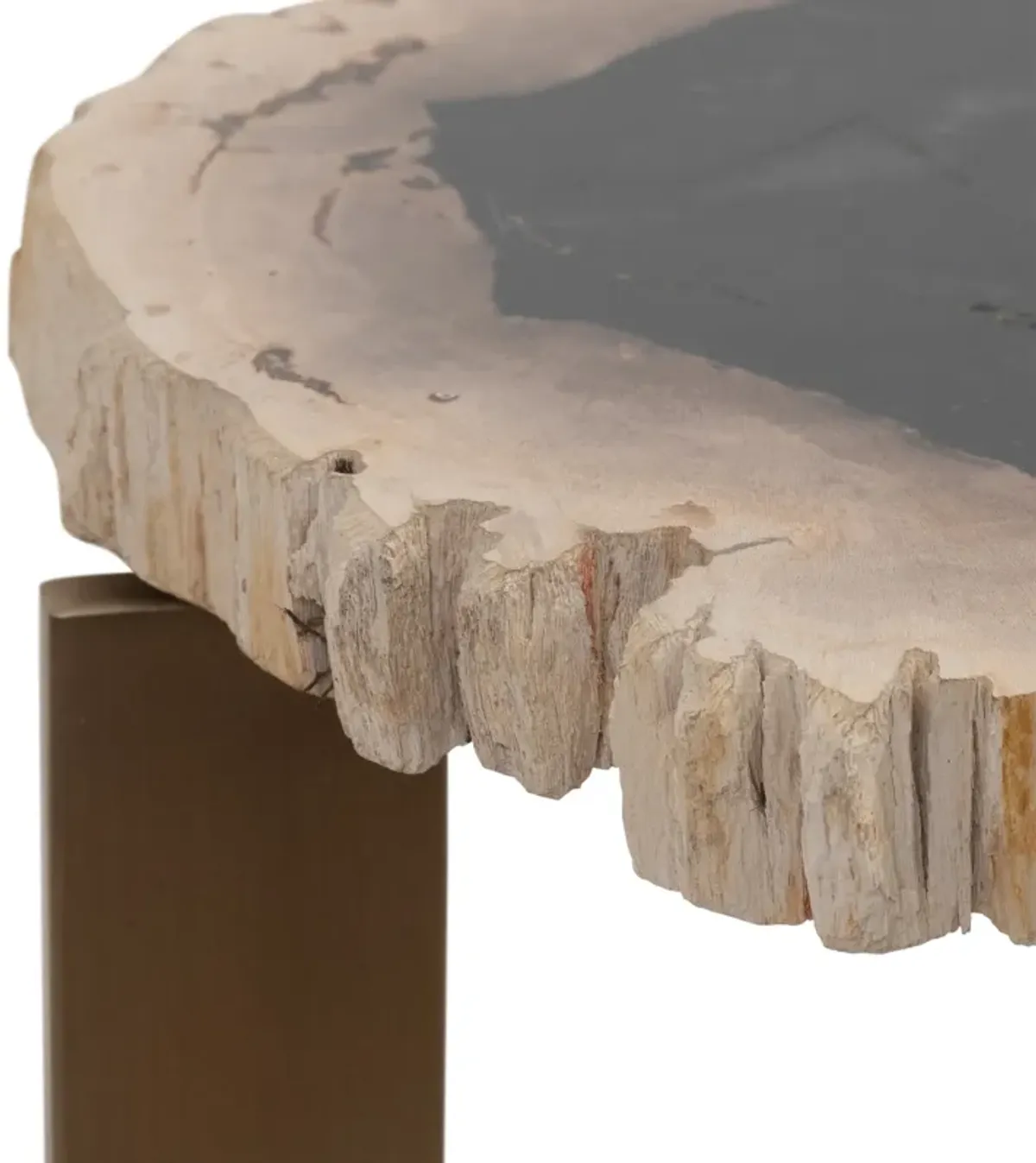 Petrified Wood, 21" Accent Table, Multi