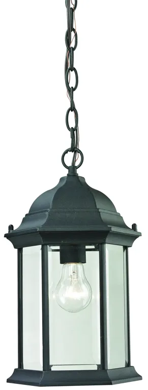 Spring Lake 8" Wide 1-Light Outdoor Pendant - Matte Textured Black