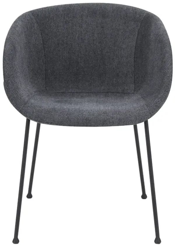 Zach Armchair in Dark Gray Fabric and Black Legs - Set of 2