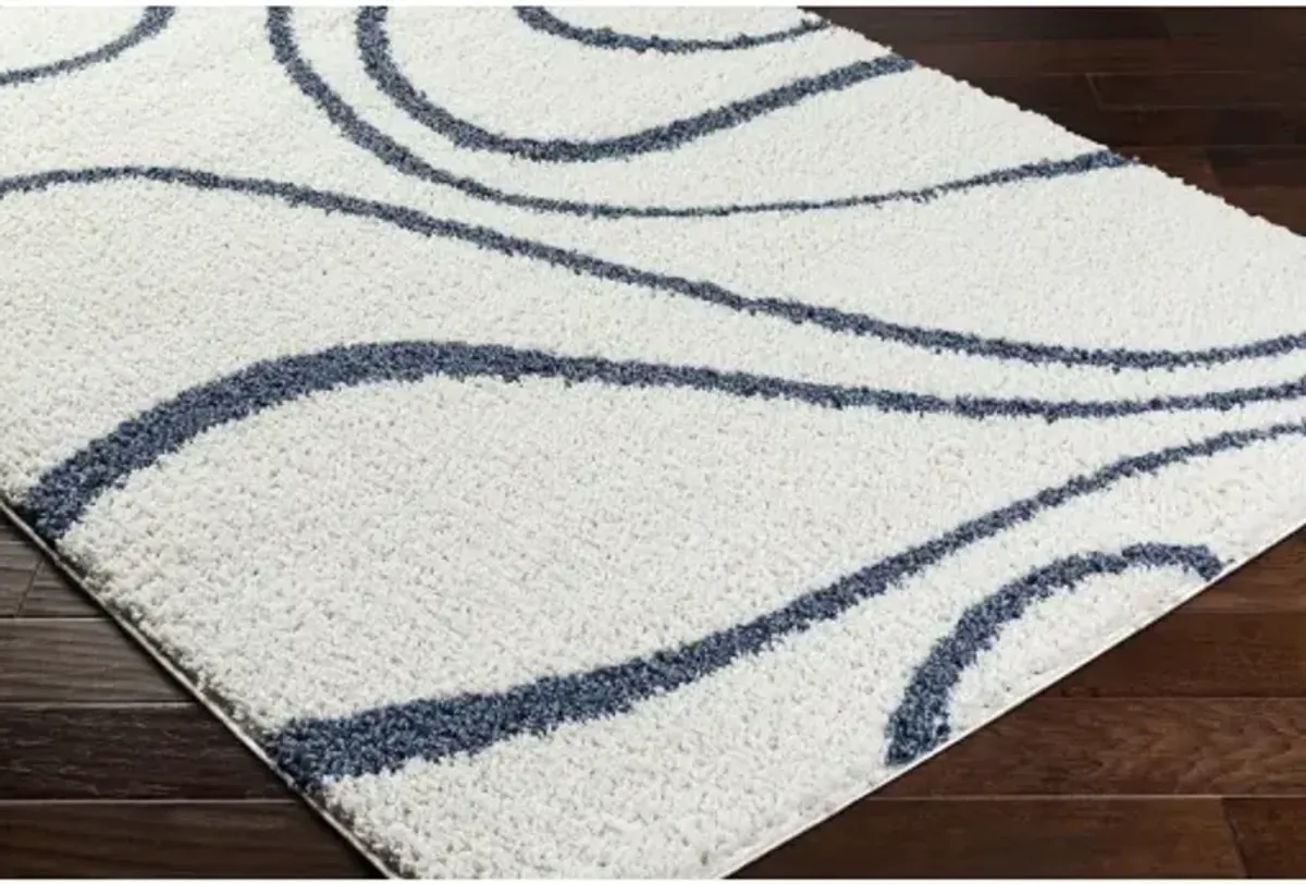 Birmingham BMM-2300 6'7" x 9' Machine Woven Rug