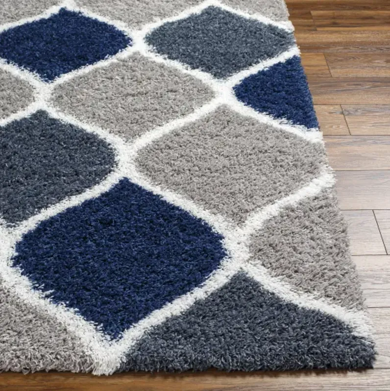 Urban Shag USG-2321 6'7" x 9'6" Machine Woven Rug