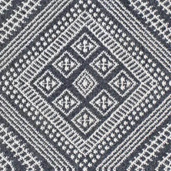 Ariana 2'3" x 3'9" Rug