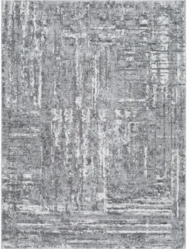 Andorra Plus ARP-2304 5'3" x 7'3" Machine Woven Rug
