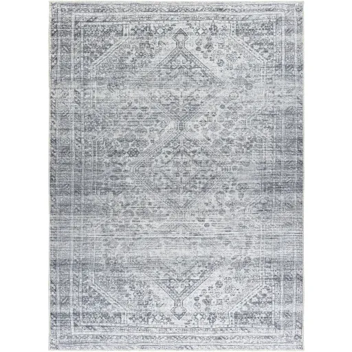 Embrace EMA-2312 2'7" x 7'10" Machine Woven Rug