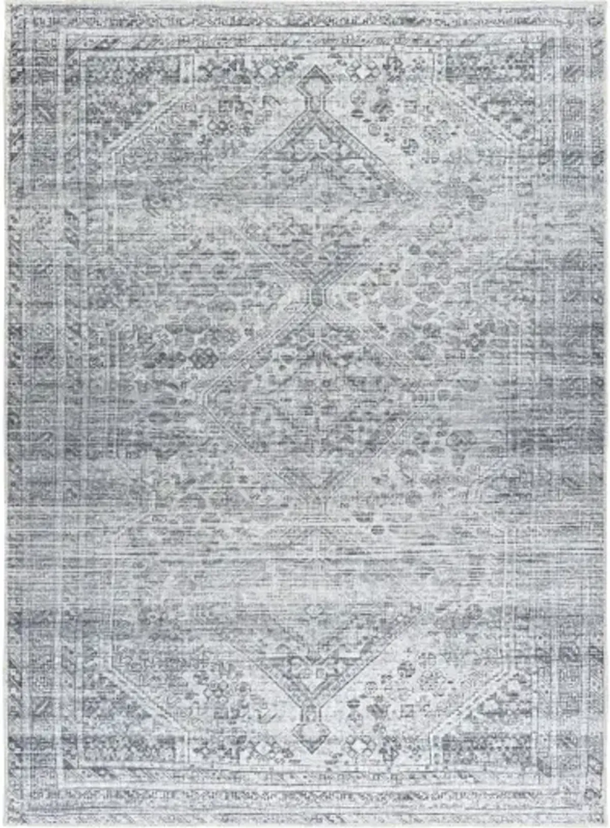 Embrace EMA-2312 2'7" x 7'10" Machine Woven Rug