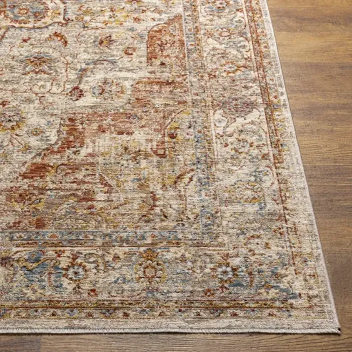 Aspendos 2'7" x 4' Rug