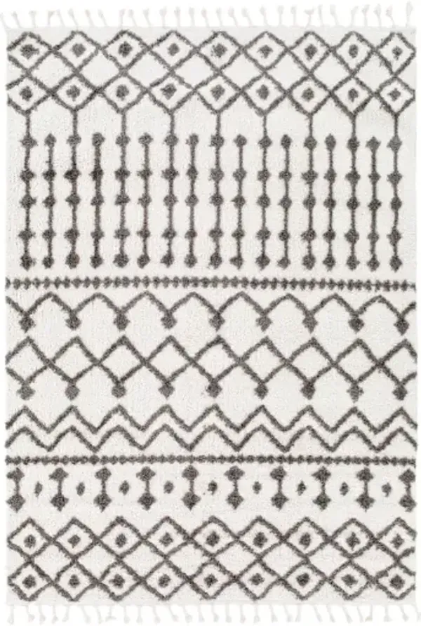 Alhambra AHB-2308 2'7" x 7'3" Rug