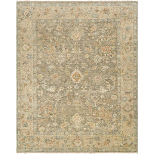 Biscayne BSY-2318 2' x 3' Handmade Rug