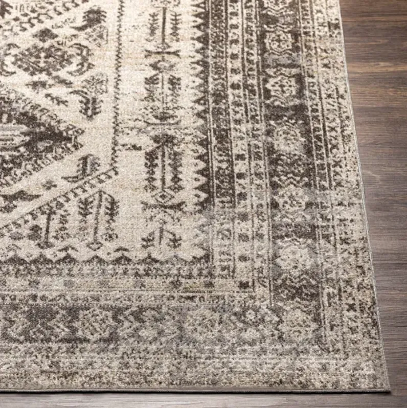 Lavadora LVR-2301 2'7" x 7'3" Rug