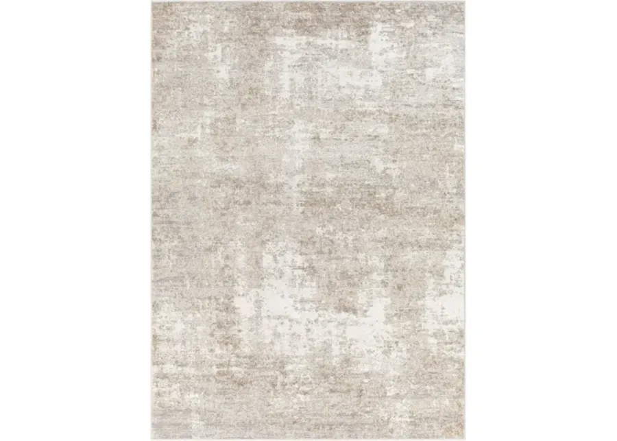 Allegro 7'10" x 10' Rug