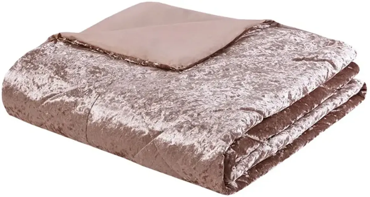 Intelligent Design Felicia Blush Velvet Duvet Cover Set