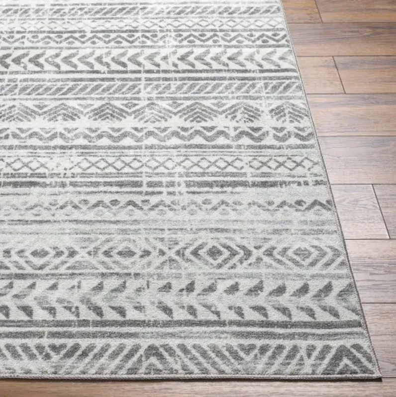 Hera HRH-2301 8'10" x 11'10" Machine Woven Rug