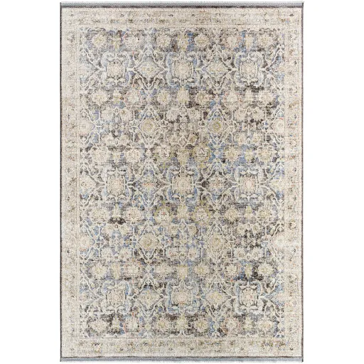 Rivaldo RVD-2306 2'7" x 7'10" Machine Woven Rug