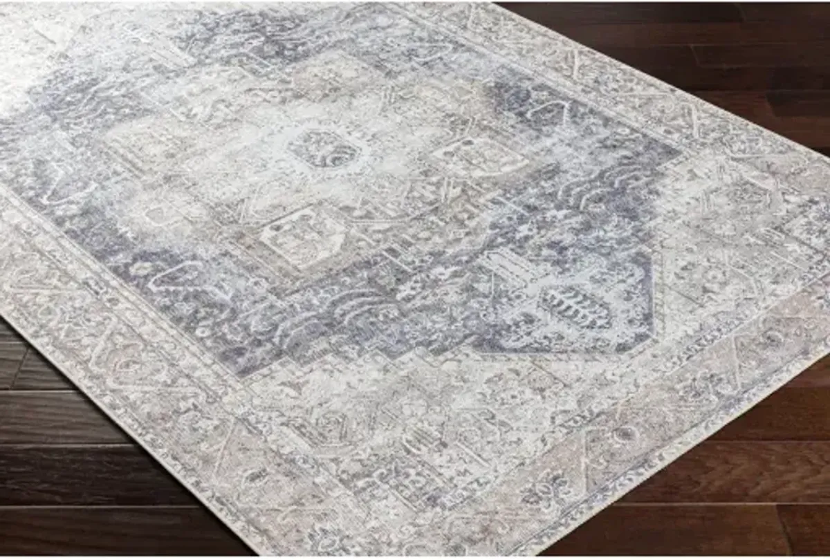 Amelie AML-2360 2'7" x 14' Rug