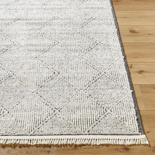 Berlin BLR-2315 2'7" x 7'3" Machine Woven Rug