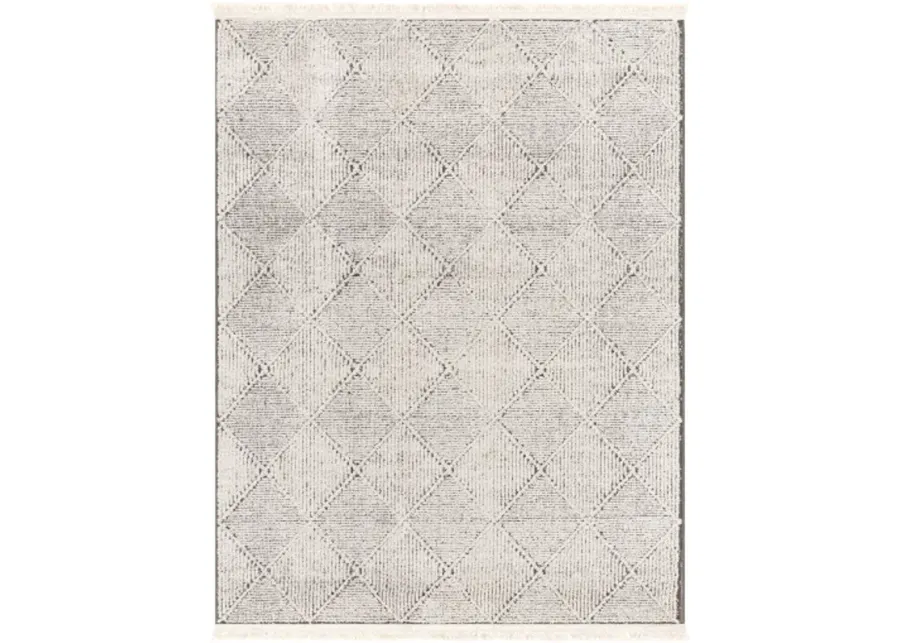 Berlin BLR-2315 2'7" x 7'3" Machine Woven Rug