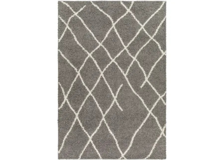 Maryland Shag 5'3" x 7' Machine Woven Rug