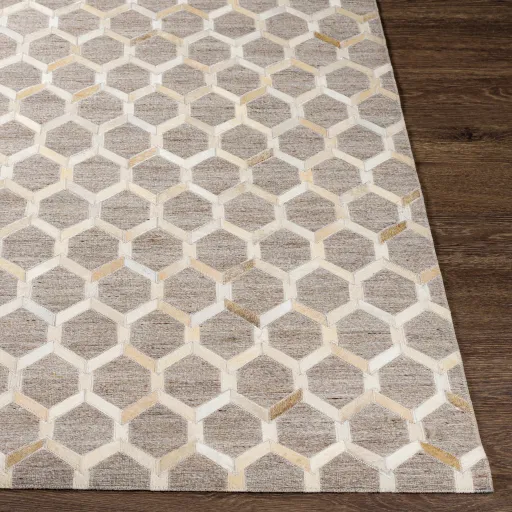 Medora 8' x 10' Rug