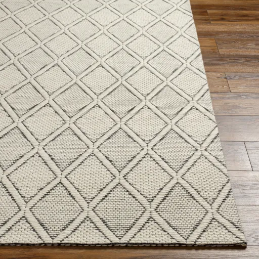 Nevada NVD-2303 27" x 45" Hand Made Rug