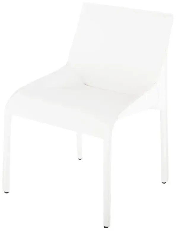 DELPHINE DINING CHAIR