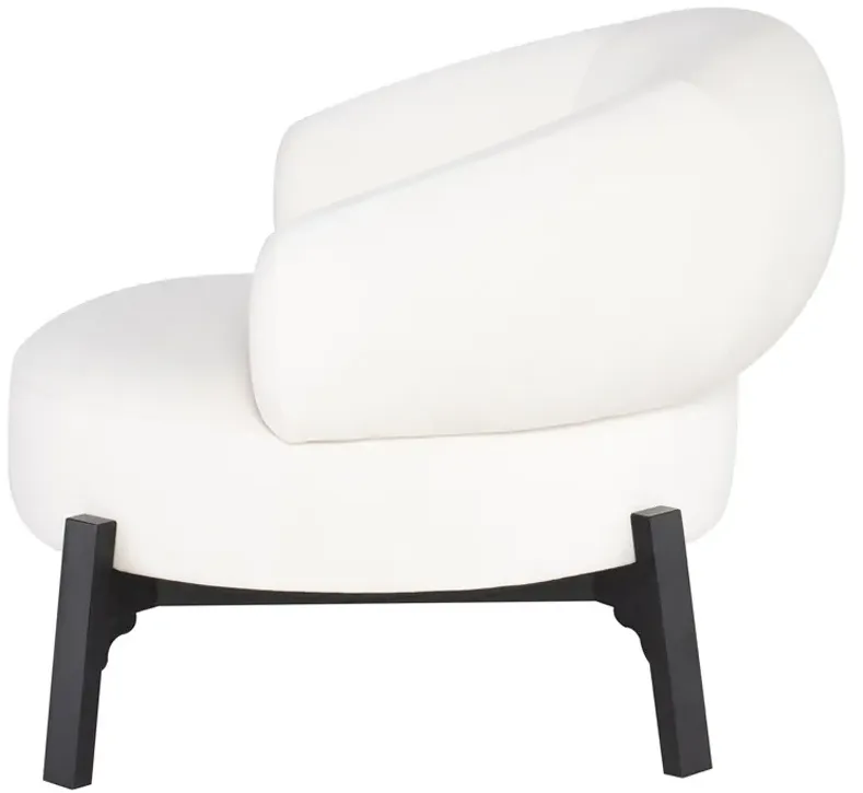 ROMOLA OCCASIONAL CHAIR