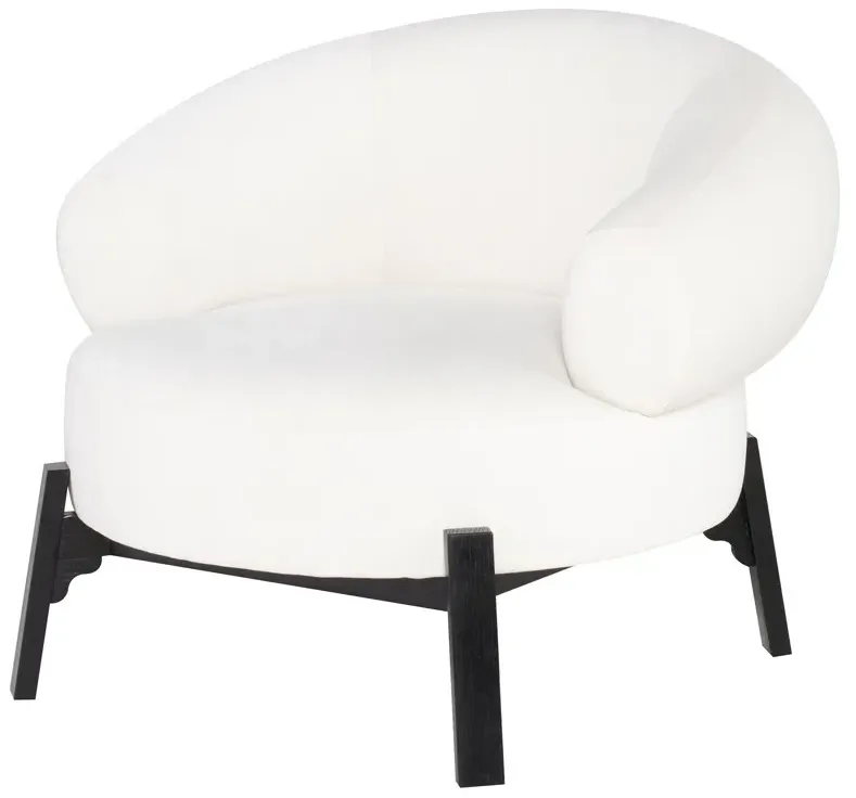 ROMOLA OCCASIONAL CHAIR