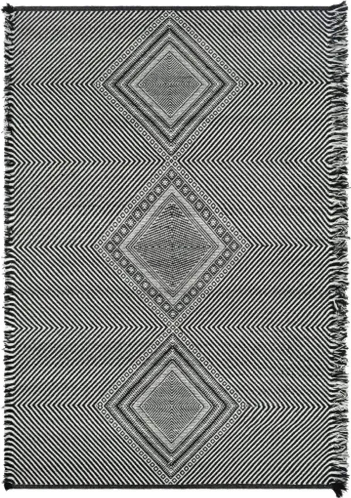 Zanafi 2'3" x 3'9" Rug