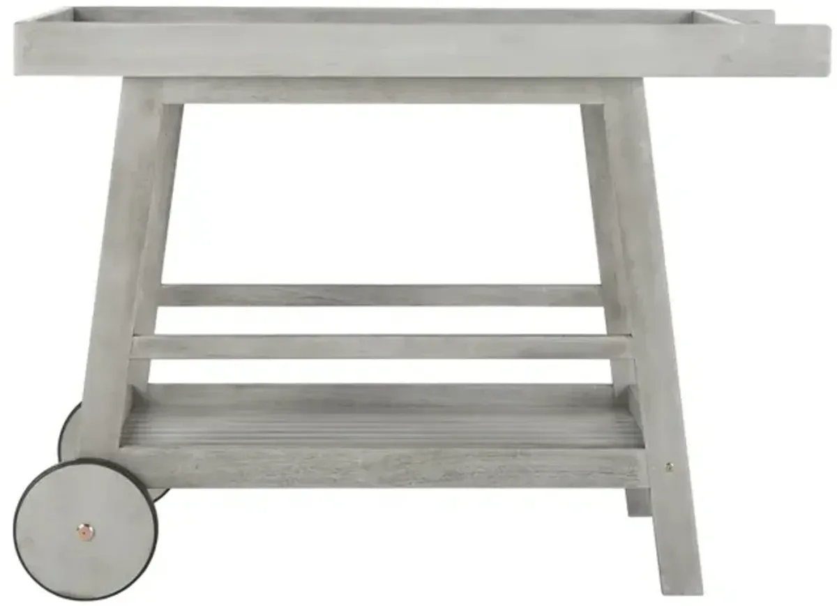 Renzo Indoor/outdoor Bar Cart