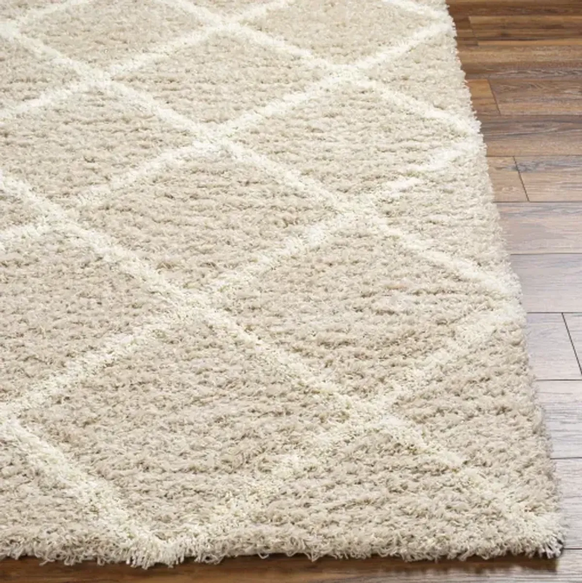 Urban Shag USG-2319 6'7" x 9'6" Machine Woven Rug