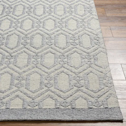 Napoli NPO-2317 9' x 12' Hand Made Rug